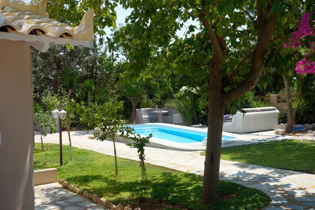 Villa Dendron Agia Marina  외부 사진