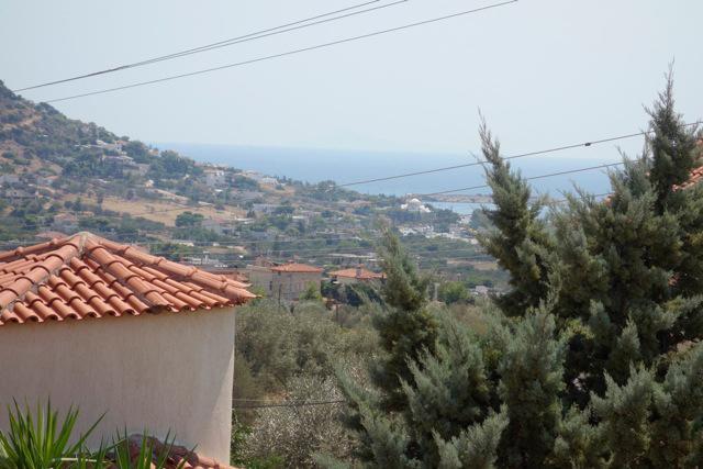 Villa Dendron Agia Marina  외부 사진